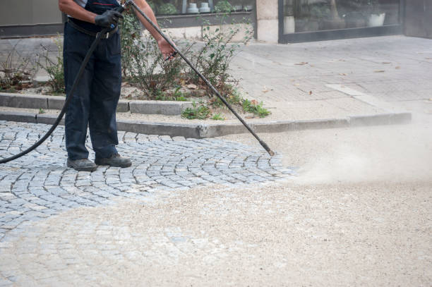 Best Pool Deck Cleaning  in USA